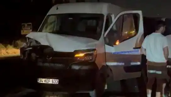 İstanbul'da Manda Kazası: Üç Kişi Yaralandı, Olayın Detayları Şaşırttı
