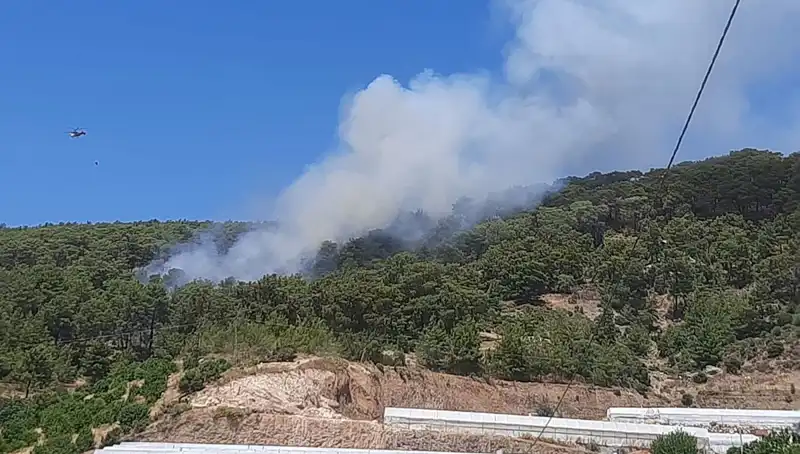 Kumluca'da Orman Yangını: Alevler İçinde Kalan Doğa ve Mücadele