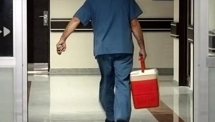 Organ Bağışı Sürecinde Devrim: e-Devlet ve e-Nabız Sistemi ile Kolaylık