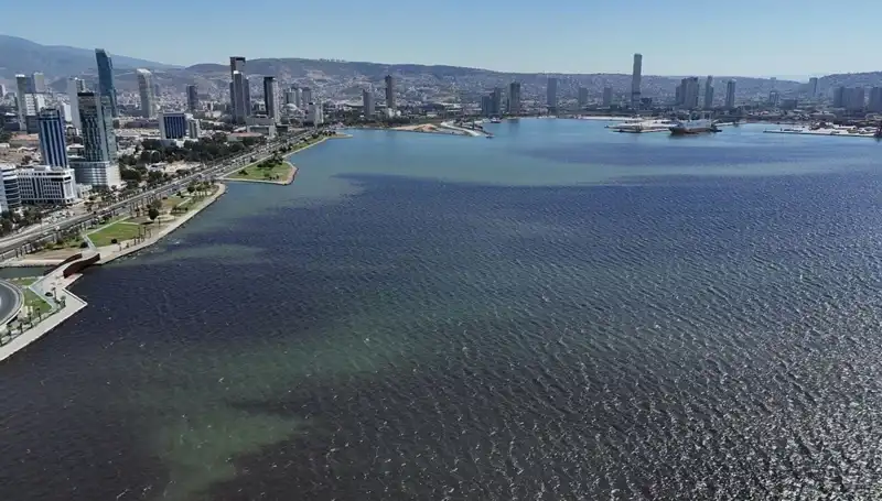 İzmir Körfezi'nde Kötü Koku Nedenleri ve Çözüm Önerileri