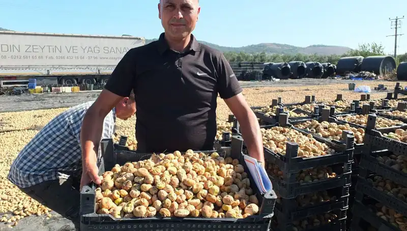 Balıkesir’in Lezzetli Ürünleri Dünyaya Açılıyor: İhracat Hamlesi