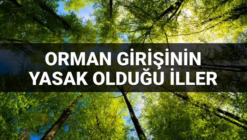 2025’te Ormanlara Girişin Yasaklandığı İller Açıklandı