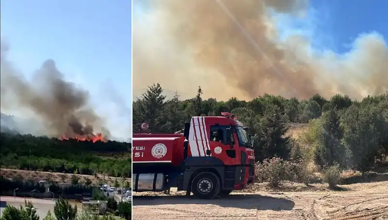 Gebze’de Meydana Gelen Orman Yangını Sonrası Ekiplerin Mücadelesi