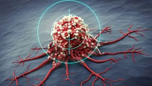 Prostat Kanseriyle Mücadelede Etkili Olan 6 Ürün: Bilim Selamladı
