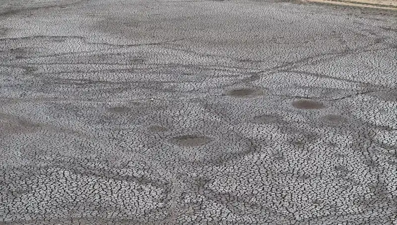 Su Kaynakları Tehlikede: Şerbettar Göleti Kurudu, Neler Oluyor?