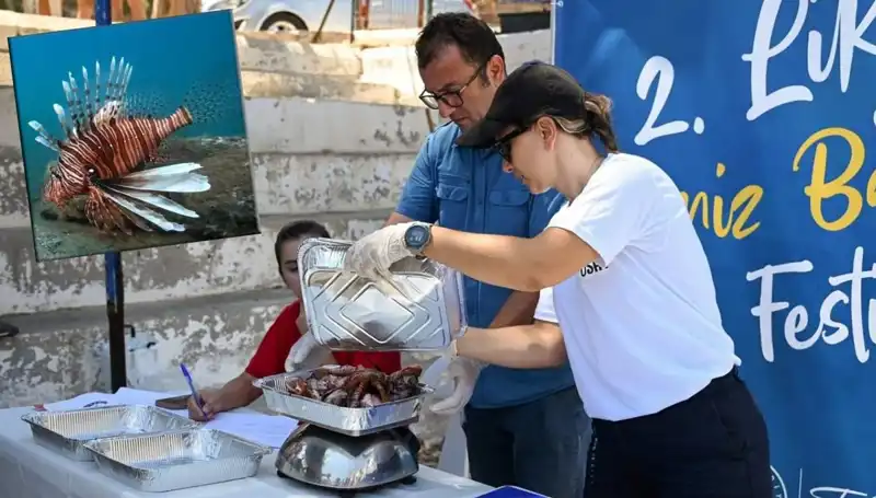 Antalya'da İstilacı Aslan Balığı Avlama Yarışması: Ekosistem Koruma İçin Mücadele