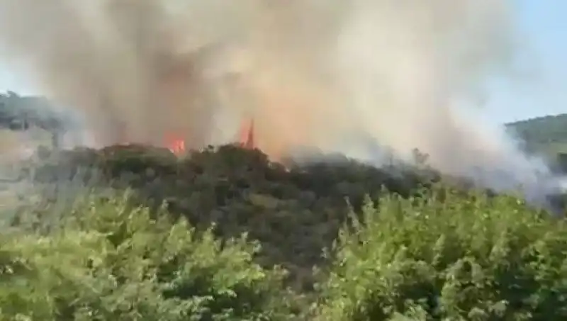 İstanbul'u Korkutan Orman Yangını: Vatandaşlar Hızla Tahliye Edildi