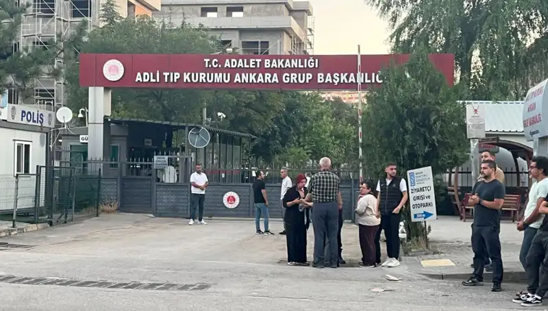 Şehitlerin Naaşları Ankara'ya Getirildi: Ulusun Acısı, Vatanın Tufanı