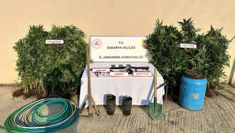 Sakarya'da Uyuşturucu Operasyonu: Narkotik Ekipleri Bir Kişiyi Tutukladı